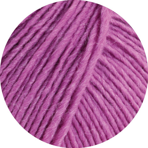 Setosa 50g