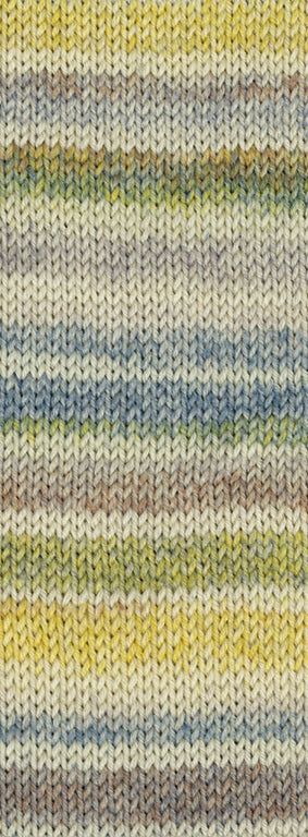Cool Wool 4 Socks Print 100g