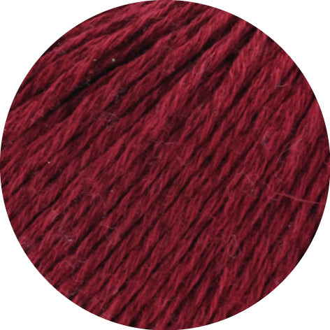 Dodici 50g