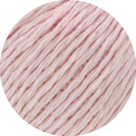 Dodici 50g