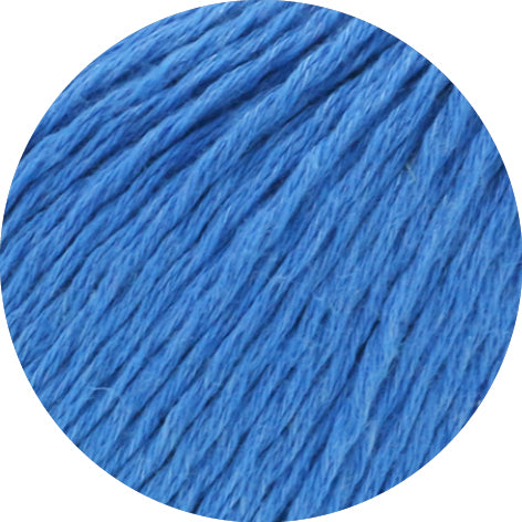 Dodici 50g