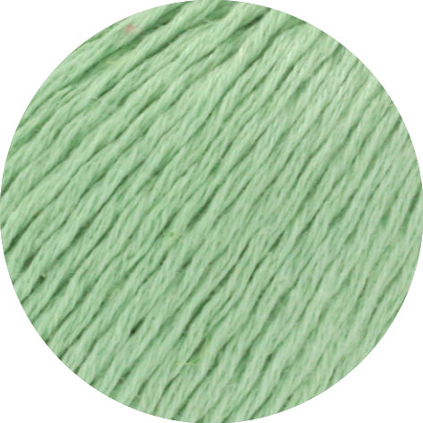 Dodici 50g