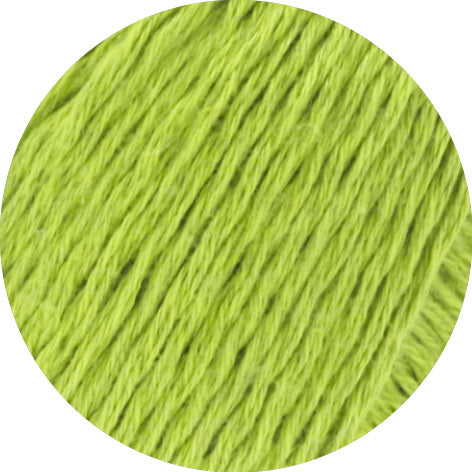 Dodici 50g
