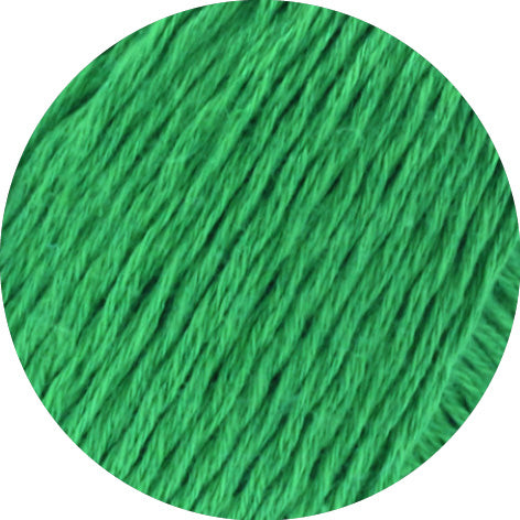 Dodici 50g