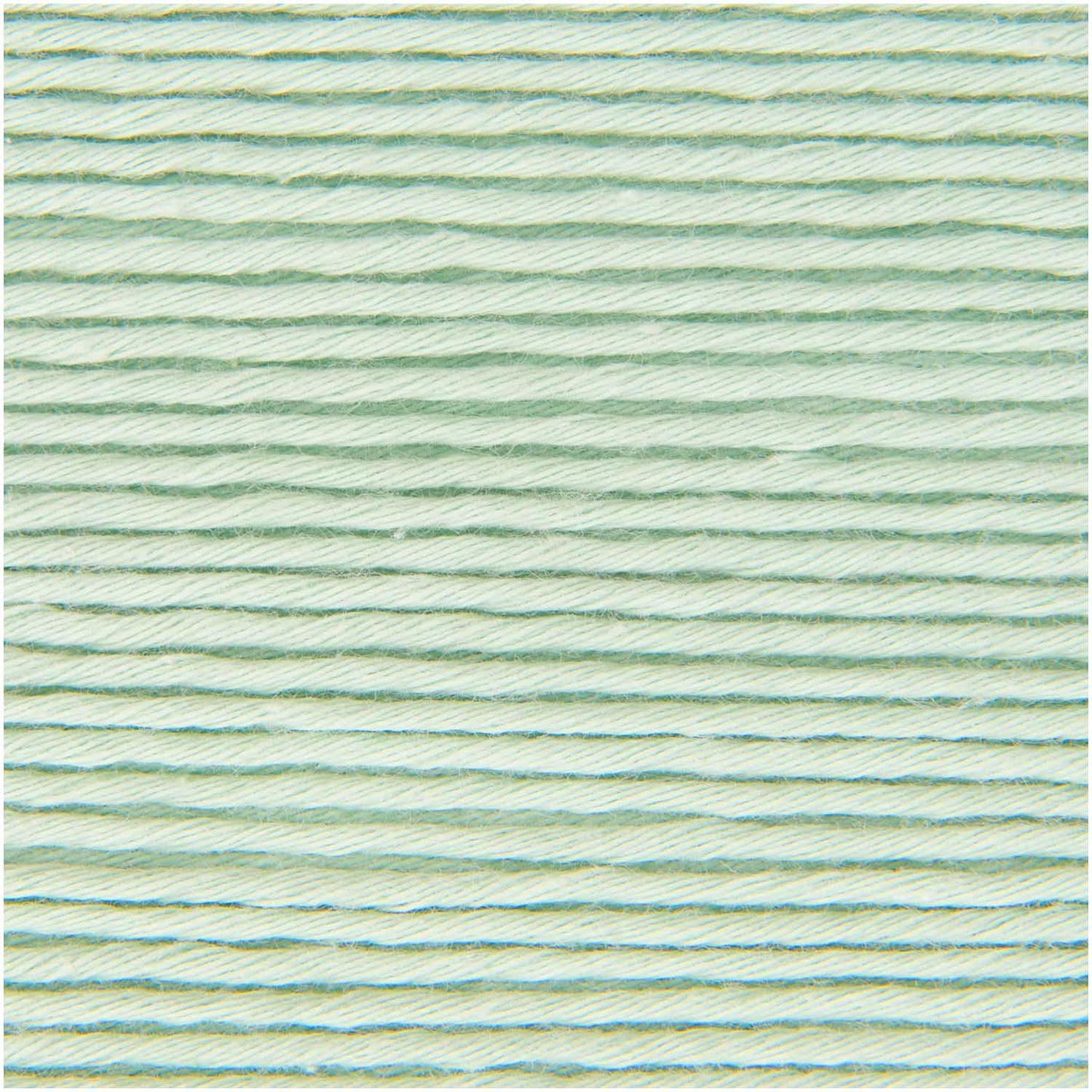 Essentials Organic Cotton dk 50g