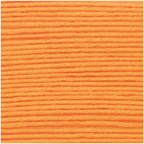 Ricorumi uni 25g / lame 10g