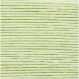 Ricorumi uni 25g / lame 10g