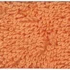 Frottier-Gästetuch mit Stickfeld 35x55