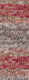 Bingo uni/melange/dégradé 50g