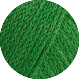 Cool Merino uni/print/degrade 50g